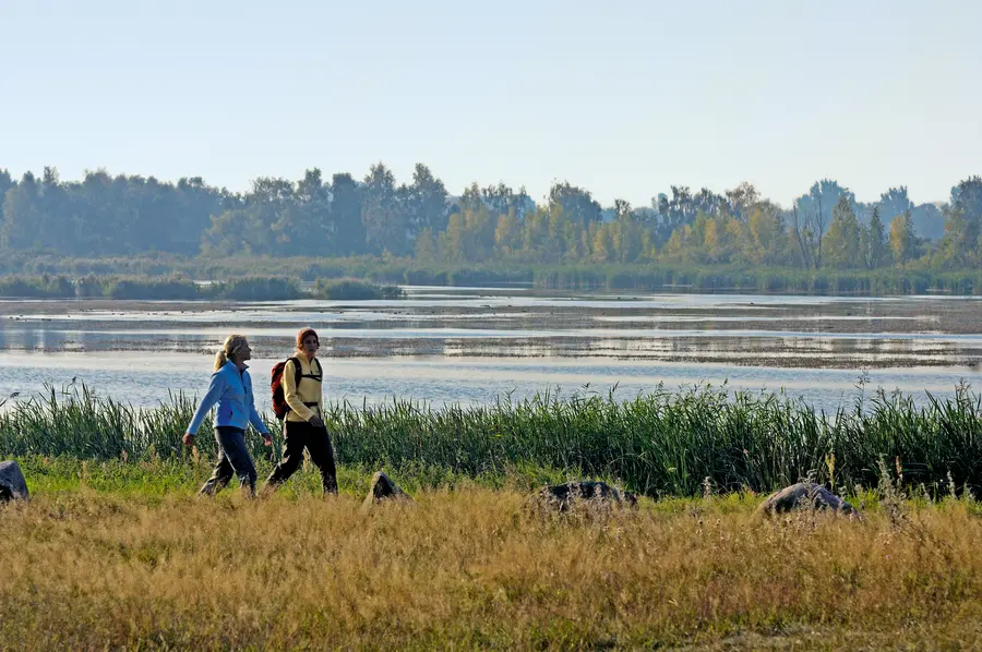 Moorwanderung in Vorpommern