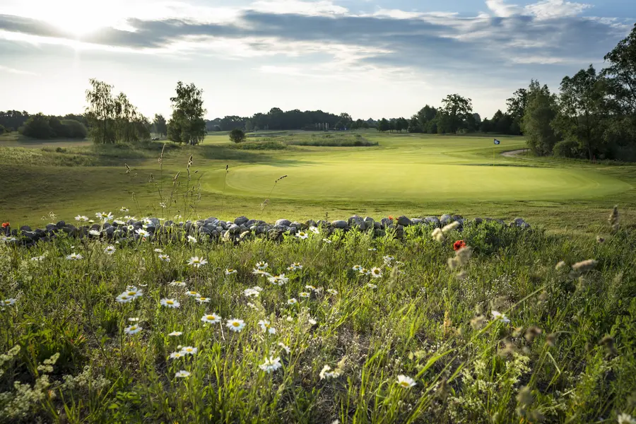 Golfanlagen sind auch ein Paradies für Naturliebhaber und Schutzraum für Flora und Fauna.