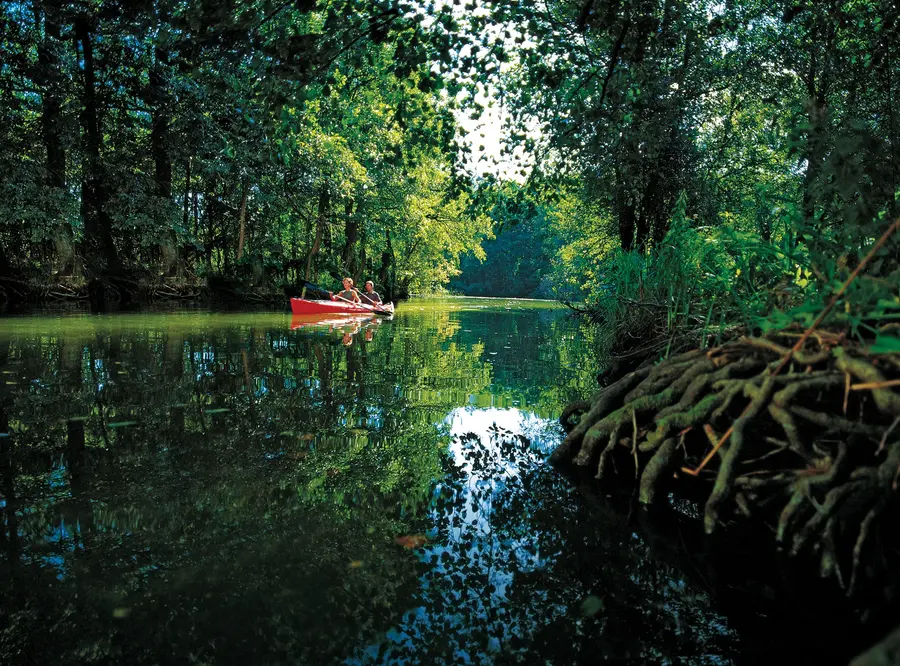Kanufahrer auf der Peene Kanufahrer auf der Peene