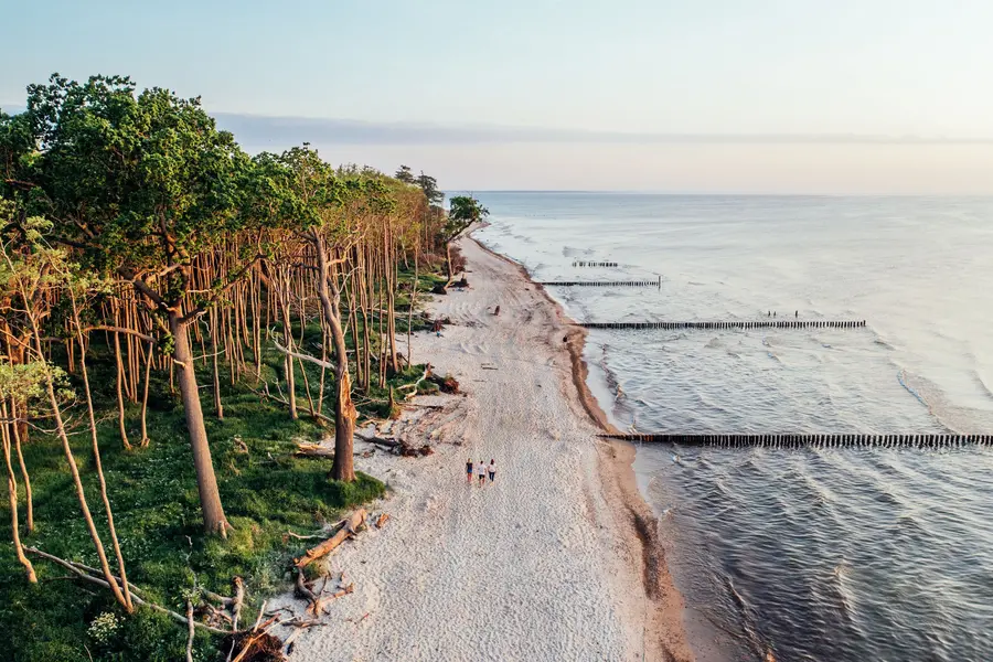Im neugestalteten Informationspunkt Rostocker Heide werden die Besucher viel Interessantes über das Landschaftsschutzgebiet im Nordosten von Rostock erfahren.