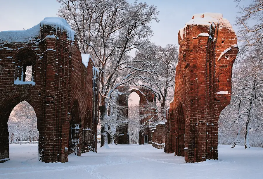 Klosterruine Eldena im Winterkleid
