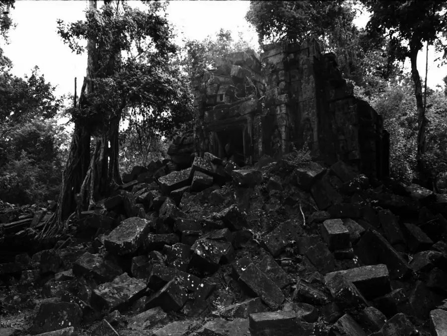 Renate Graf, Untitled, Lost Gods