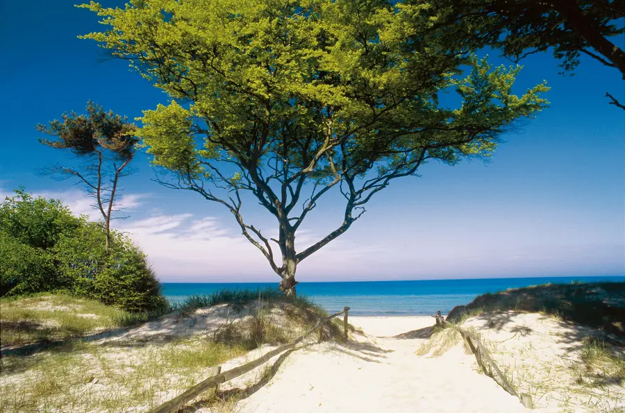Mecklenburg-Vorpommern geht 2016 in das "Jahr der Natur"