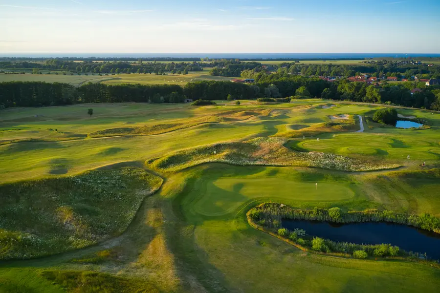 Eine Wildblumenwiese auf dem Ostsee Golf Resort Wittenbeck