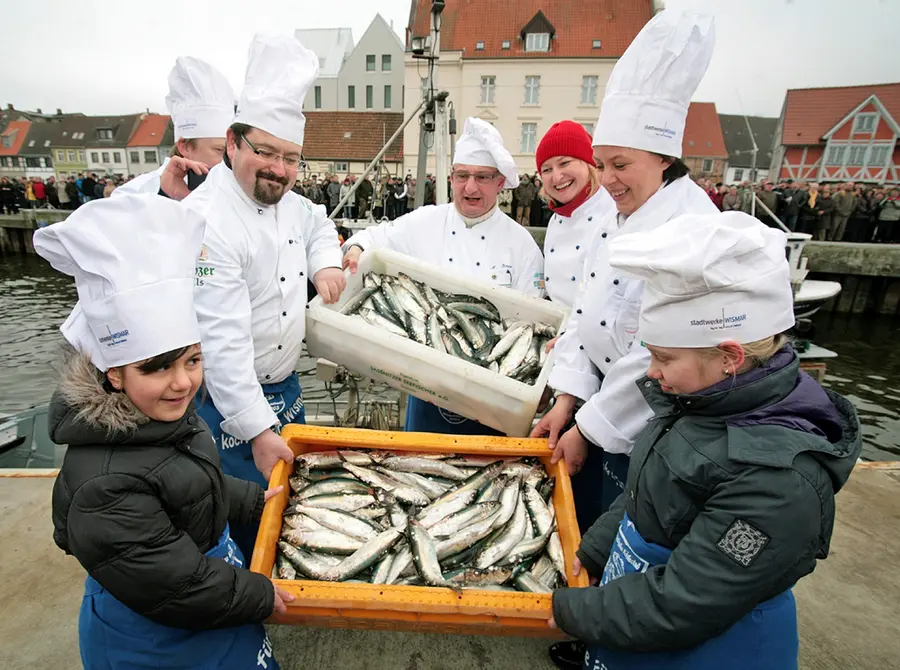 Köcheklub mit frischem Hering am Alten Hafen in Wismar