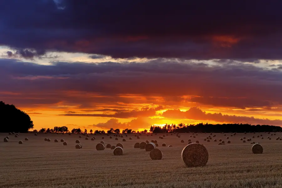 Beim Höfe-Herbst in Vorpommern können sich Gäste vom 14. September bis 5. Oktober mit regionalen Erzeugern austauschen. Beim Höfe-Herbst in Vorpommern können sich Gäste vom 14. September bis 5. Oktober mit regionalen Erzeugern austauschen.