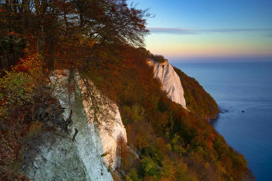 Bunte Buchen an der Kreideküste auf der Insel Rügen Bunte Buchen an der Kreideküste auf der Insel Rügen