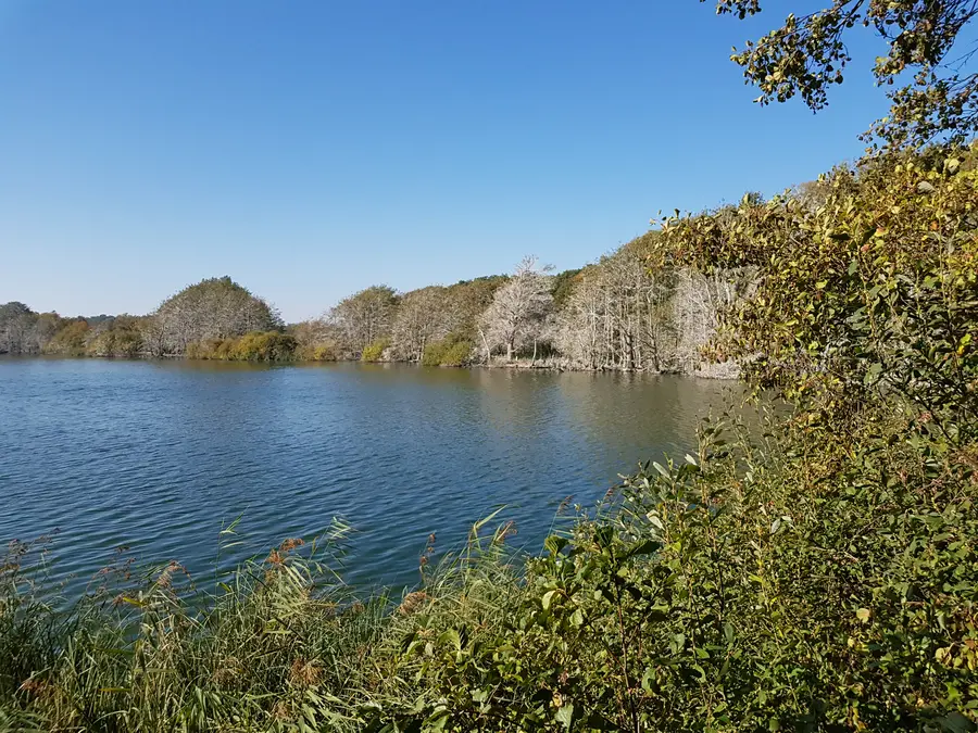 Das Nationalparkamt Müritz hat „Wasser“ als Jahresthema 2024 gesetzt.