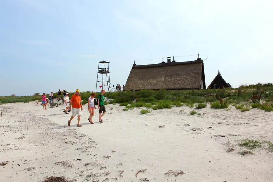 Vogelschutzinsel Langenwerder