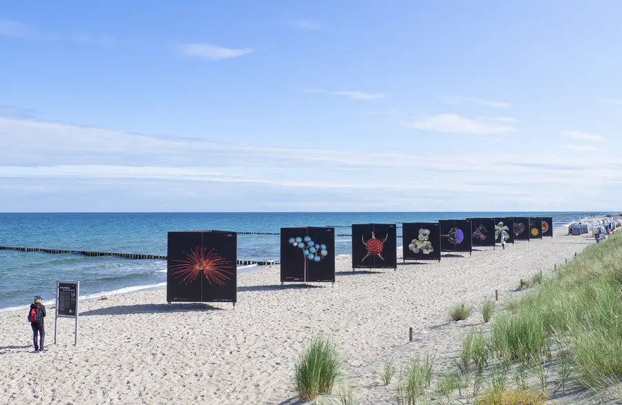 Strandausstellung Flora Obscura 2023