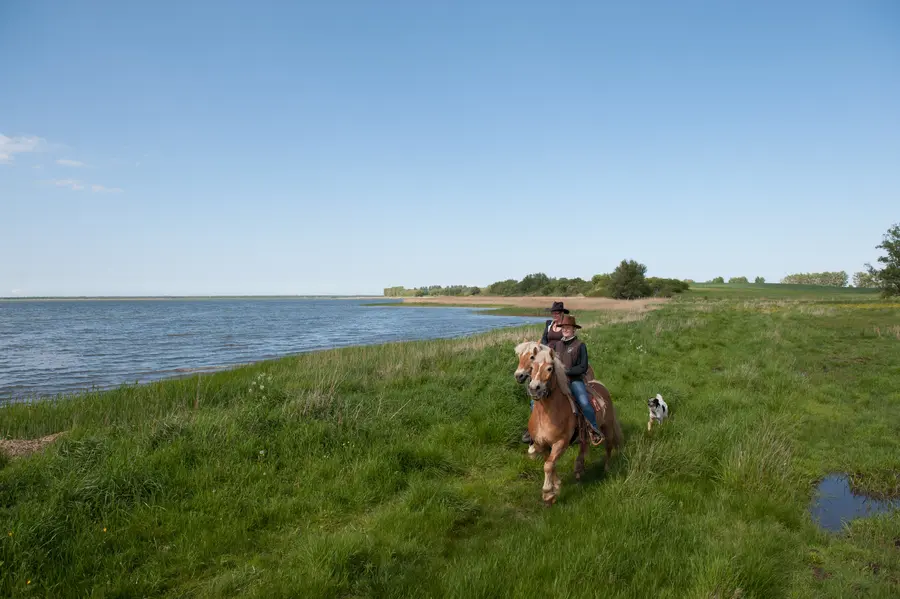 Reiturlaub an der Ostseeküste