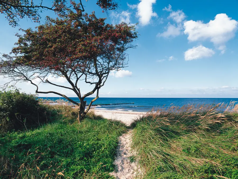 Strandaufgang in Börgerende, Foto. TMV / Thomas Grundner