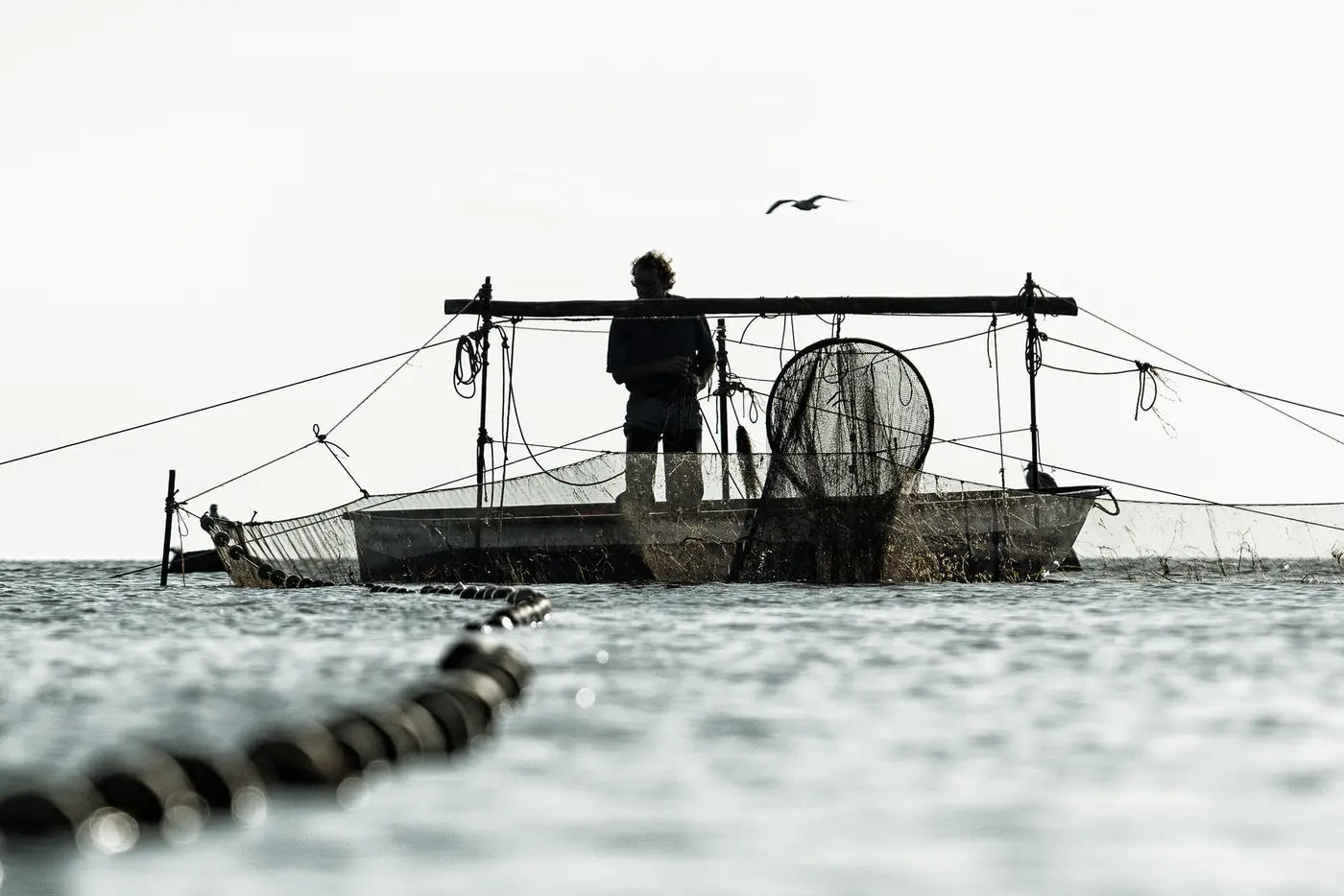 Die Kleine Küstenfischerei umfasst die handwerkliche Fischerei mit kleinen Booten in den küstennahen Gewässern der Ostsee und den Bodden Mecklenburg‑Vorpommerns. Die Kleine Küstenfischerei umfasst die handwerkliche Fischerei mit kleinen Booten in den küstennahen Gewässern der Ostsee und den Bodden Mecklenburg‑Vorpommerns.