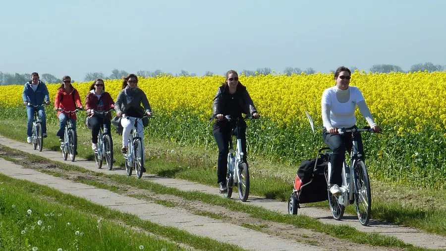 Radfahrer auf Elektrorädern (Joern Kolbe/Movelo)