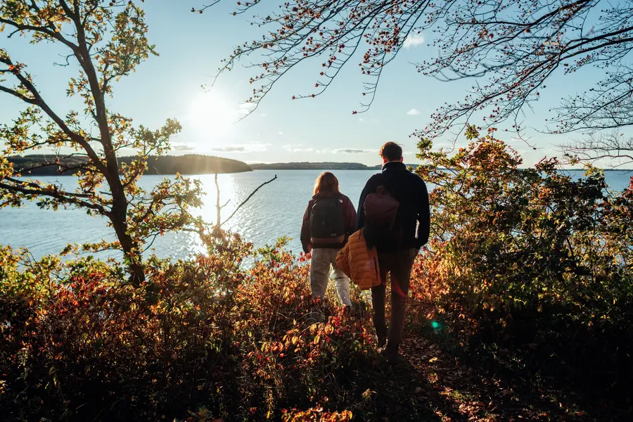 Herbstwanderung am Großen Jasmunder Bodden auf Rügen durch den Wald.