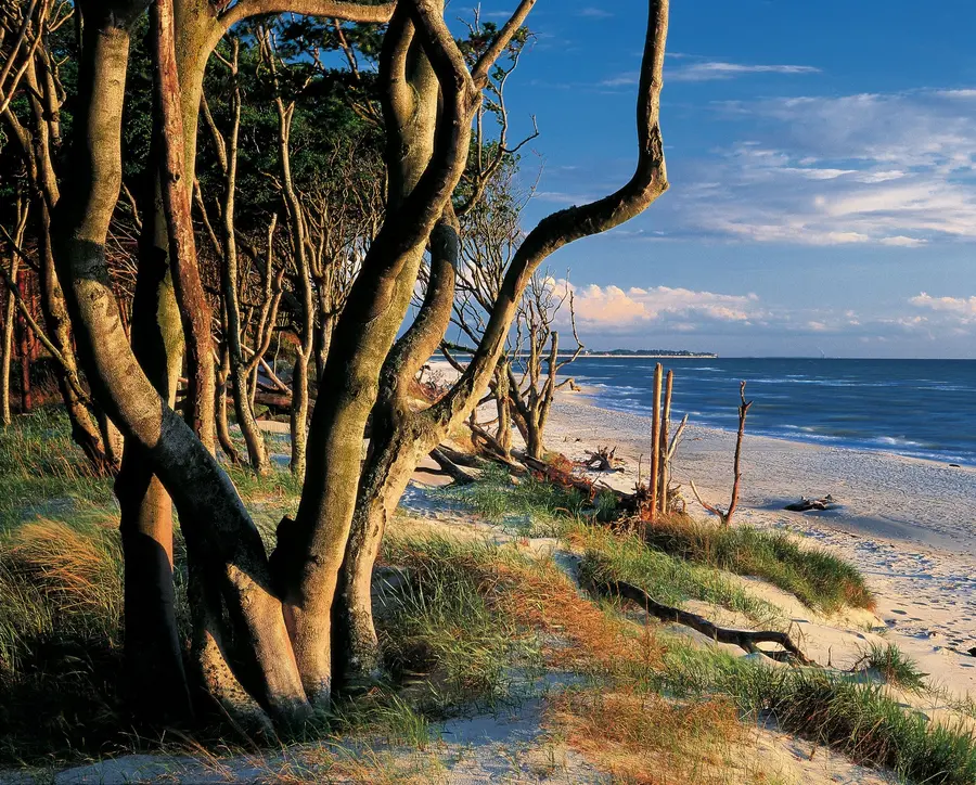 Herbstliche Stimmung am Darßer Weststrand