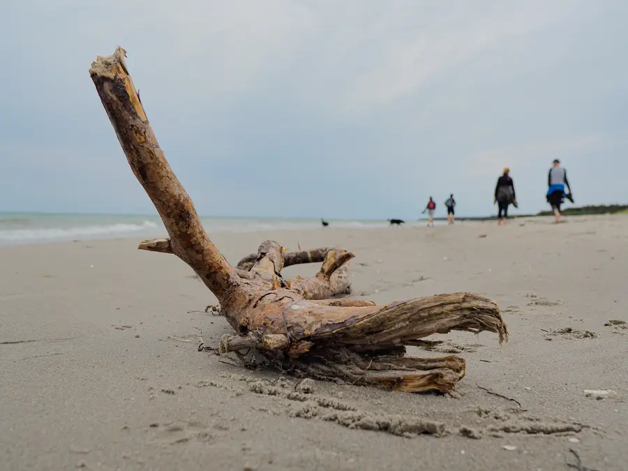 Fastenwandern an der frischen Ostseeluft stärkt Körper und Geist.