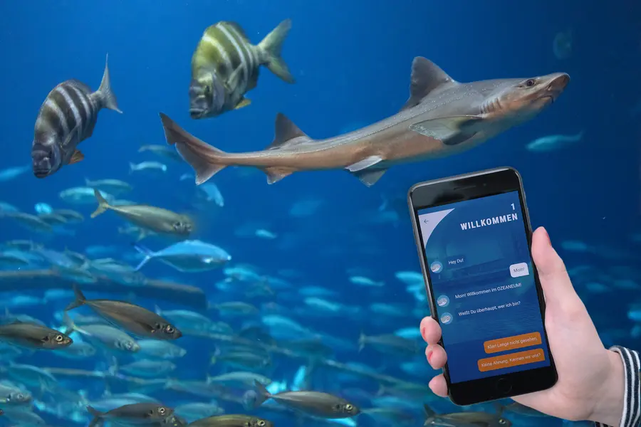 Das Ozeaneum bietet mit der kostenlosen App „Frag Walfred!“ einen digitalen Begleiter durch das Museum an. 