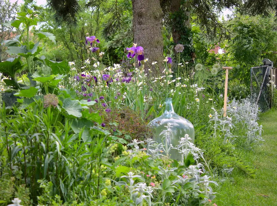 Zur Aktion „Offene Gärten“ können verschiedene Parks und Gartenanlagen in ganz Mecklenburg-Vorpommern bestaunt werden. Zur Aktion „Offene Gärten“ können verschiedene Parks und Gartenanlagen in ganz Mecklenburg-Vorpommern bestaunt werden.