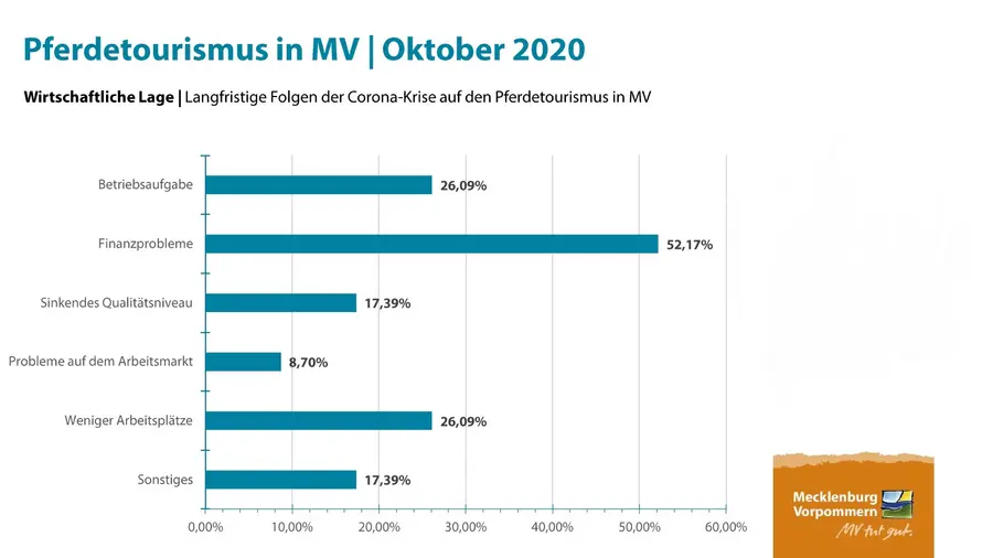 Mehr als jeder zweite pferdetouristische Betrieb rechnet laut Umfrage langfristig mit Finanzproblemen.