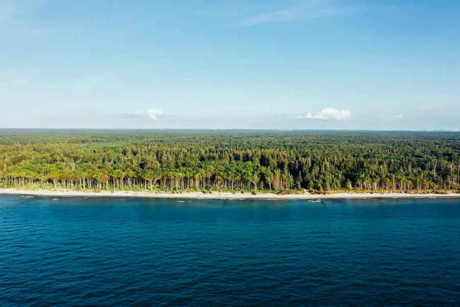 De Rostocker heide is het grootste gesloten kustbos van Duitsland. De Rostocker heide is het grootste gesloten kustbos van Duitsland.