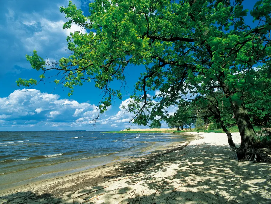 Ufer am Stettiner Haff