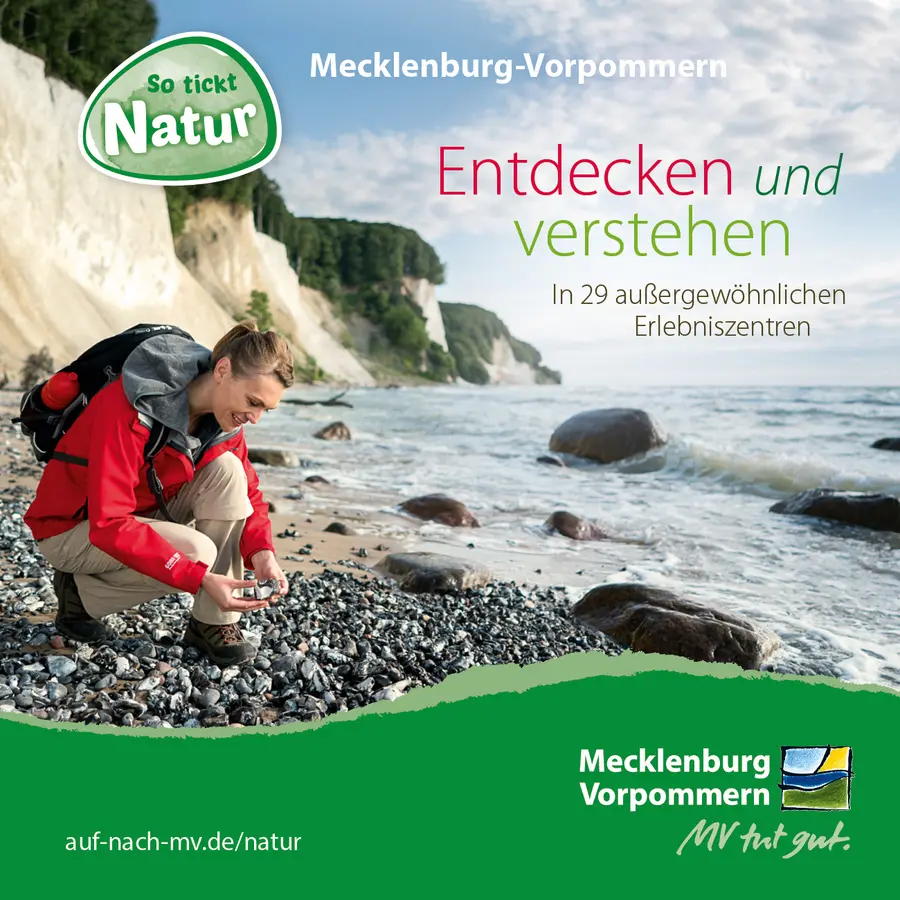 Cover: TMV/Roth/Werk3