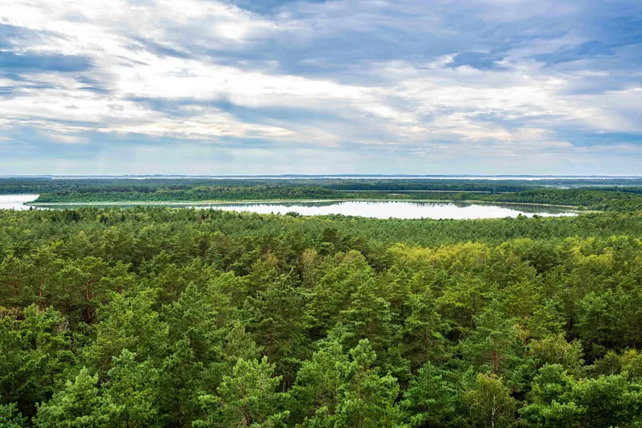 Die Aussicht im Müritz-Nationalpark Die Aussicht im Müritz-Nationalpark
