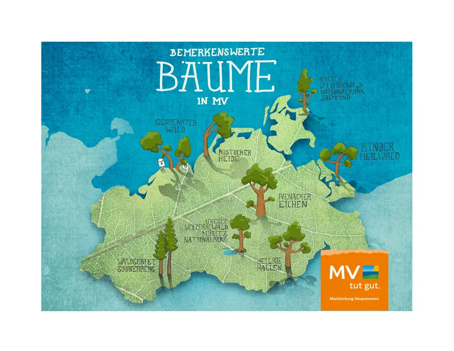 Infoskizze 3 Infoskizze 3