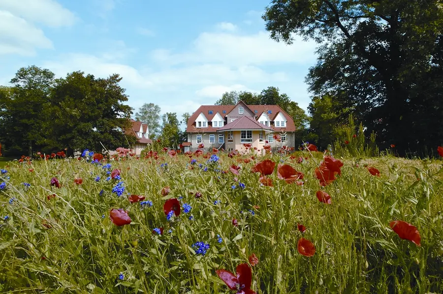 Breesen.jpg Breesen.jpg