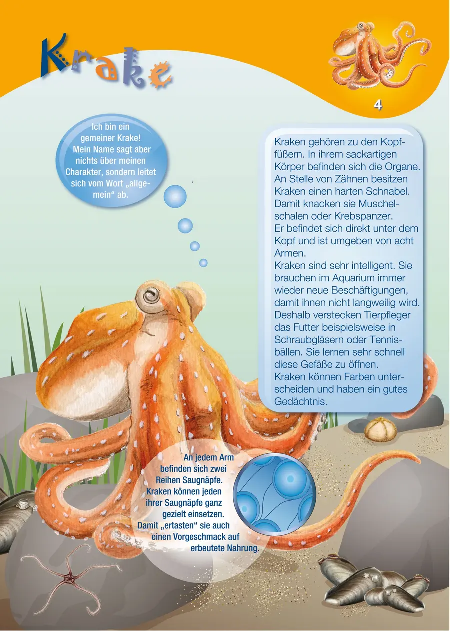 Museumspädagogin Ria Schmechel hat mit ihrem Team die neuen Sammelkarten getextet und gestaltet. (© OZEANEUM Stralsund)