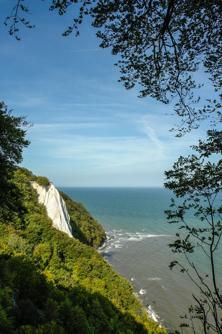 Umgeben von Buchenwald: Der Königsstuhl auf Rügen (Foto: Nationalpark-Zentrum Königsstuhl)