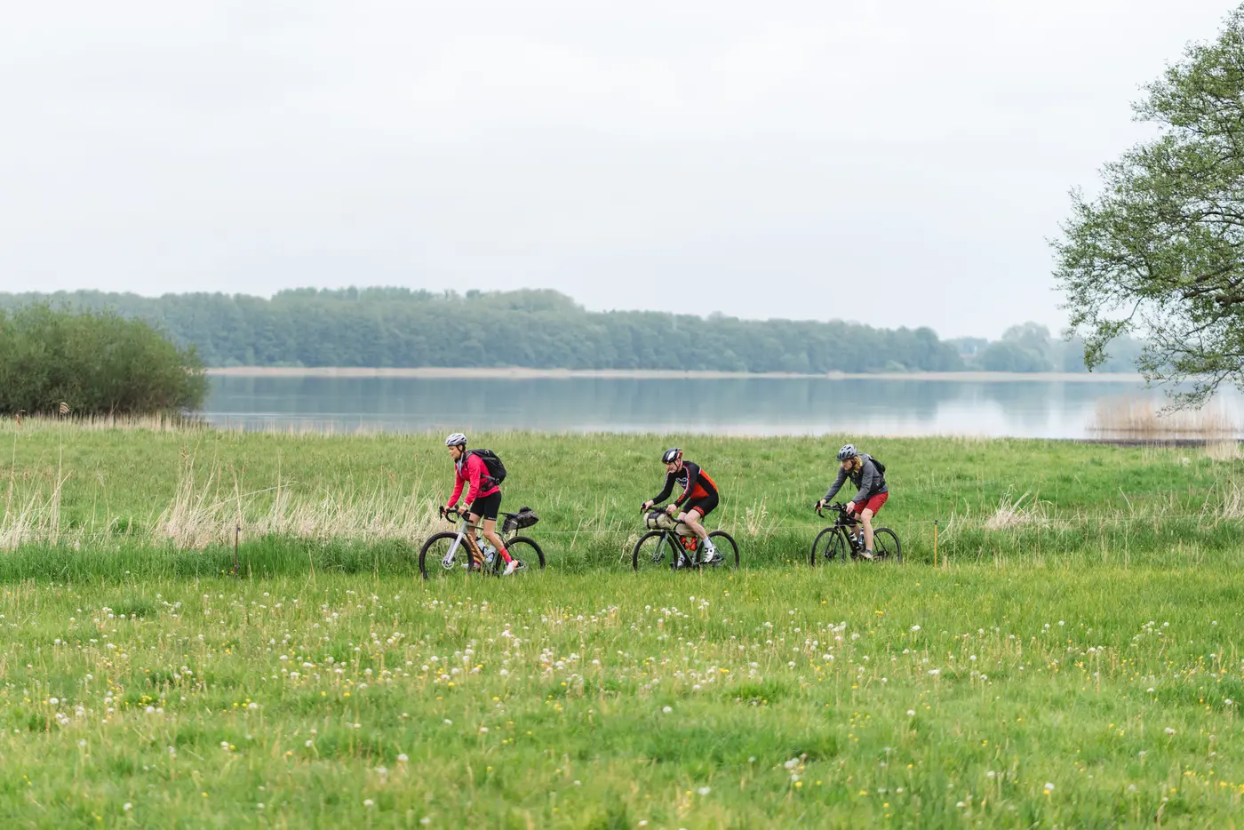 Vom 24. bis 26. April können sich Gäste zwischen zahlreichen geführten Radtouren in der Mecklenburgischen Seenplatte entscheiden. Vom 24. bis 26. April können sich Gäste zwischen zahlreichen geführten Radtouren in der Mecklenburgischen Seenplatte entscheiden.