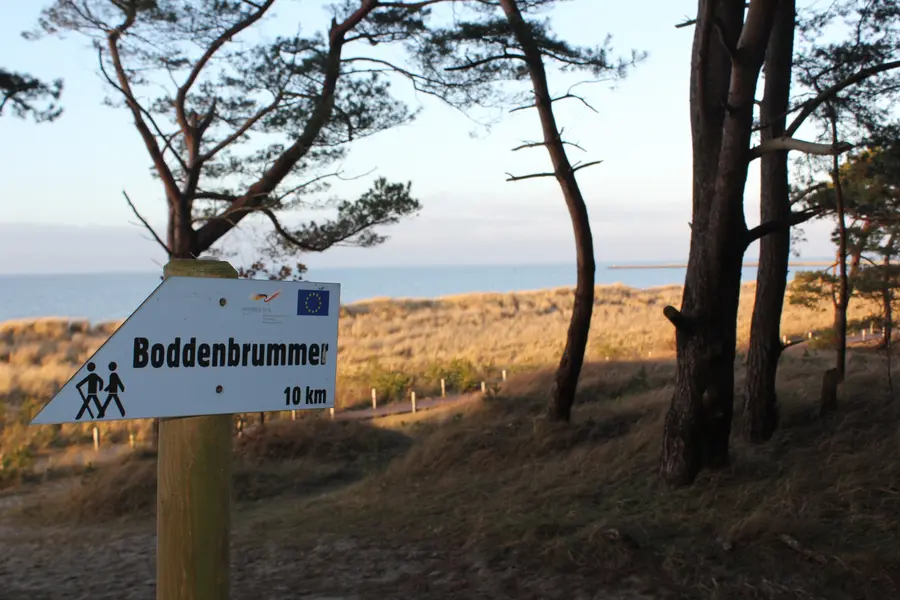 Nordic Walking im Seebad Lubmin
