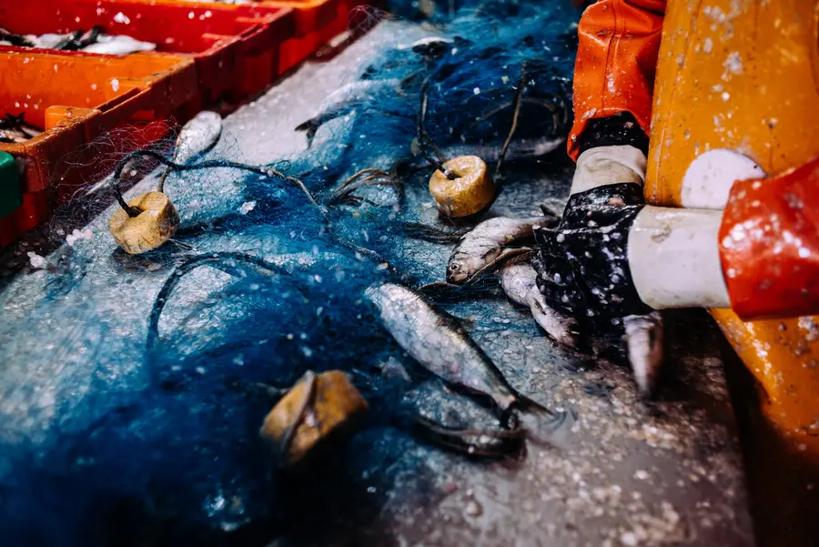 Fisch(er)tage auf Rügen