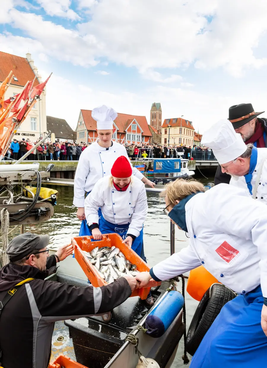Heringstage in Wismar