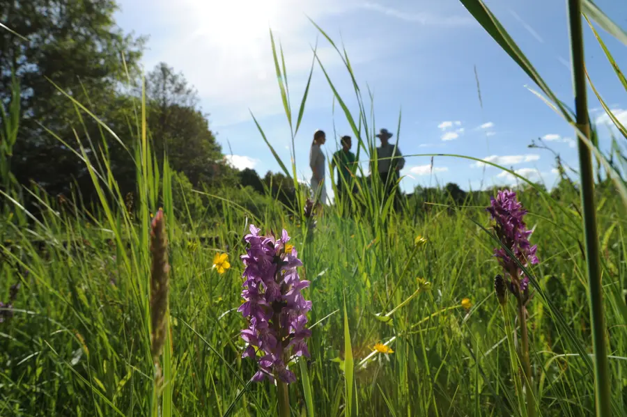 Feldbürger-Initiative mit nachhaltigem Ansatz beim Saisonauftakt geehrt (Foto: TMV/Dürst)