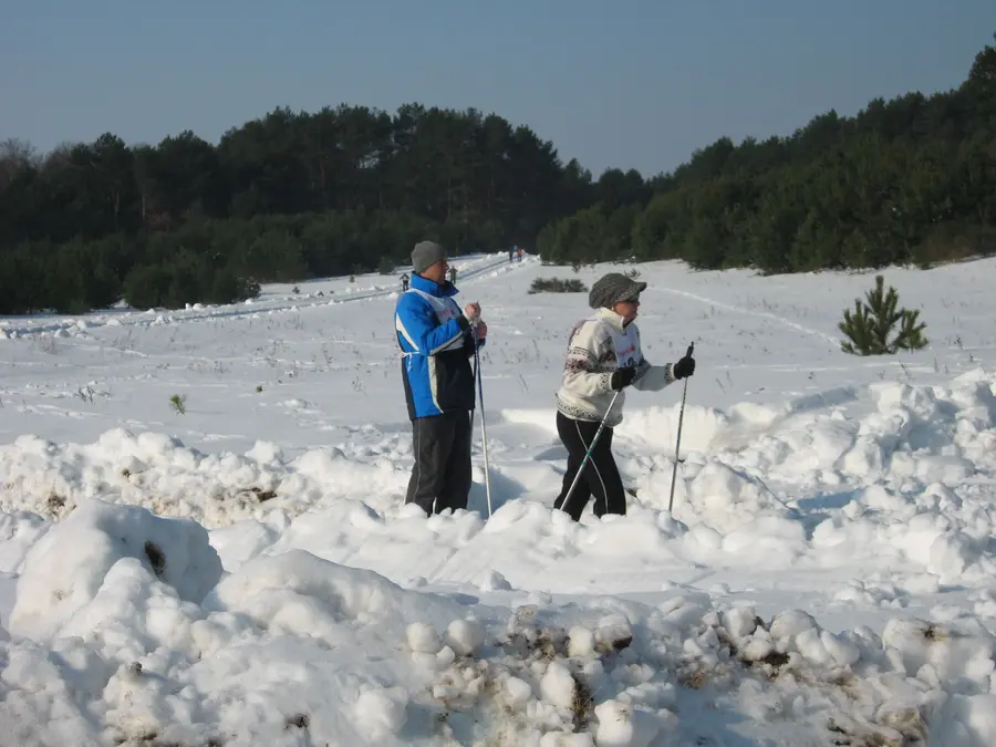 Winter auf Rügen