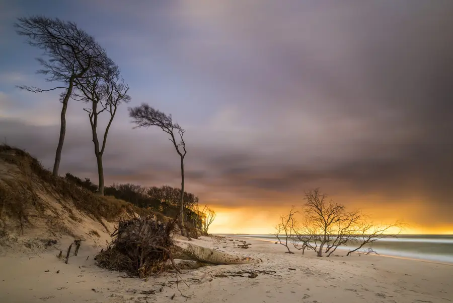 Der Darßer Weststrand Der Darßer Weststrand