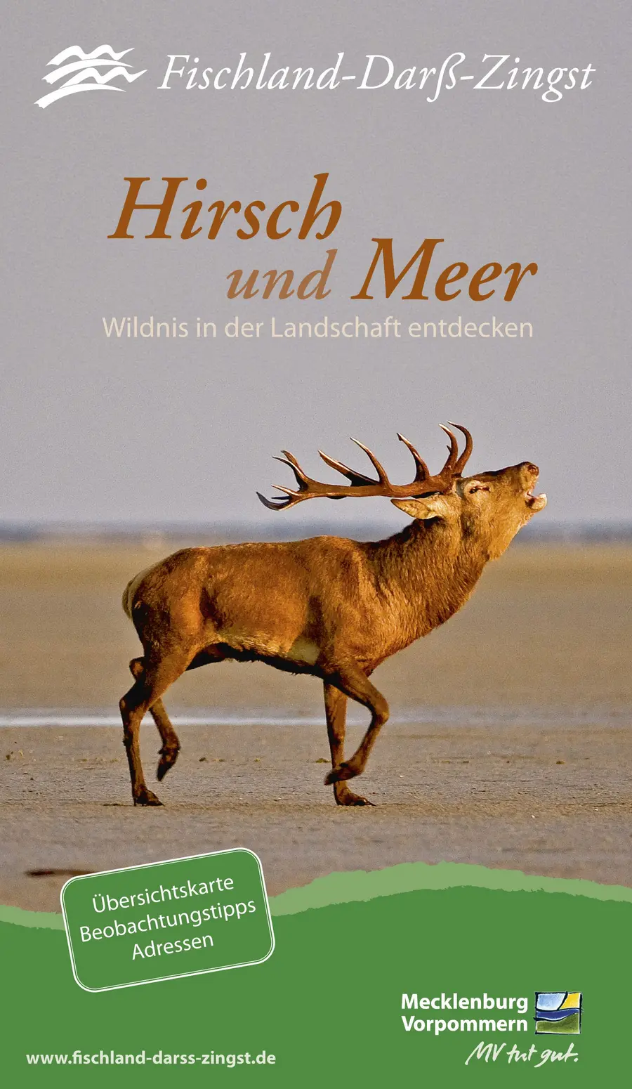 Cover Tierbeobachtungskarte "Hirsch und Meer", Gestaltung Voigt & Kranz, 