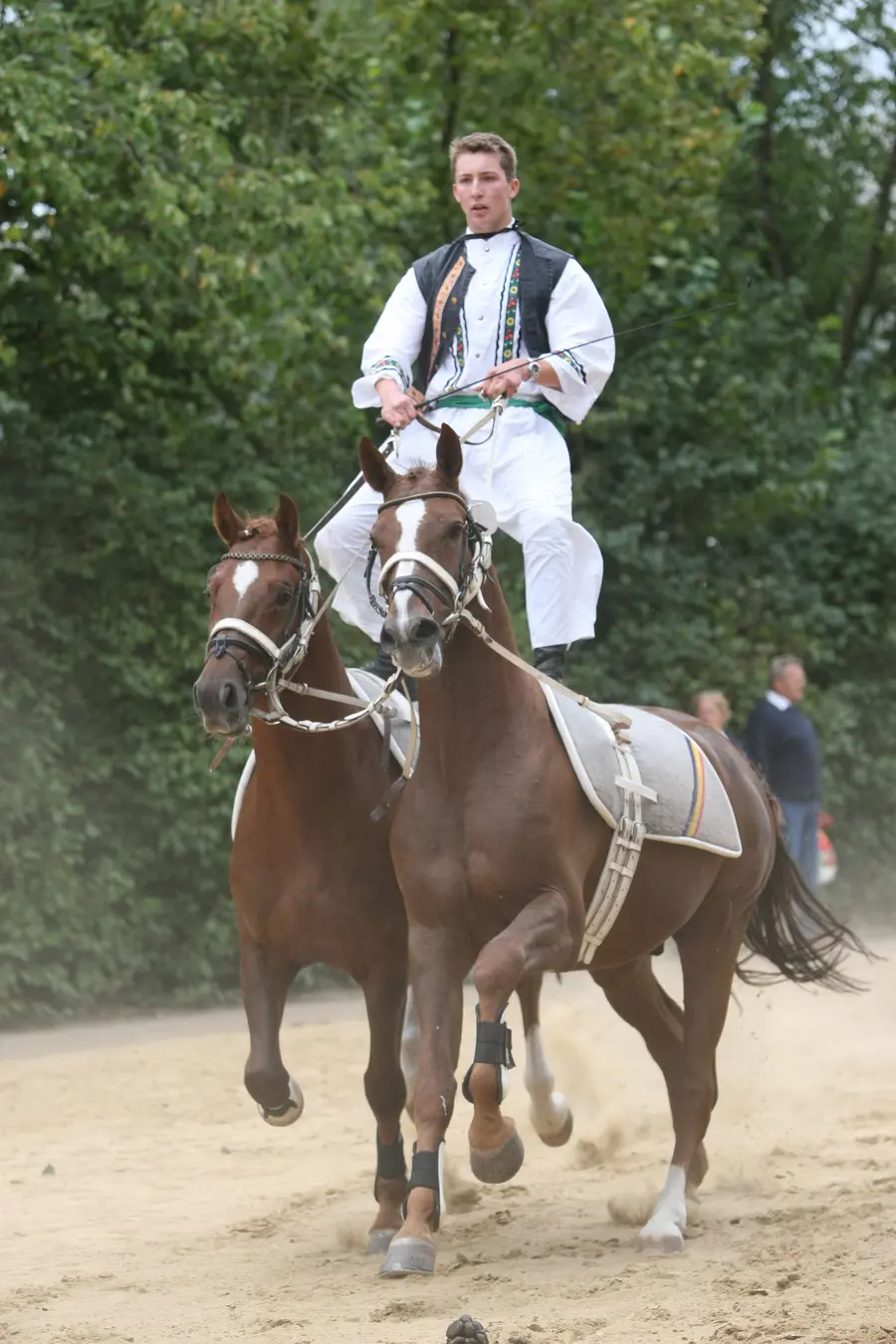 Redefiner Hengstparaden