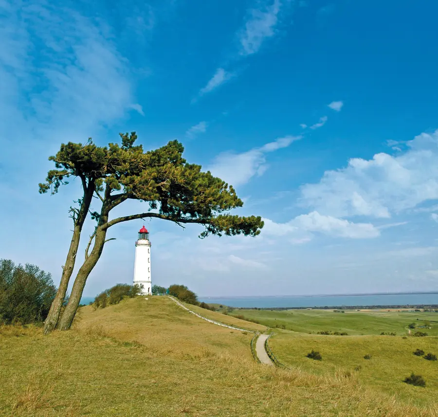 Leuchtturm auf der Insel Hiddensee (Foto: TMV/Legrand)