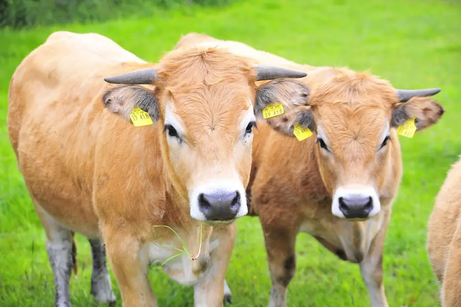 Höfe-Herbst in Vorpommern 