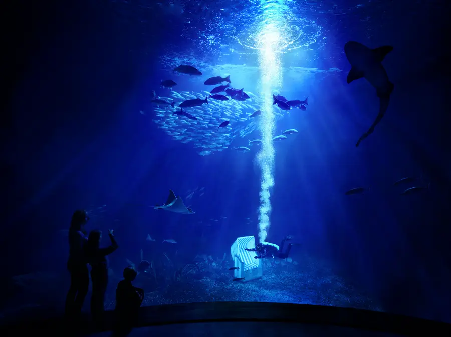 Henning Mai, Cheftaucher Ozeaneum Stralsund, im Strandkorb
