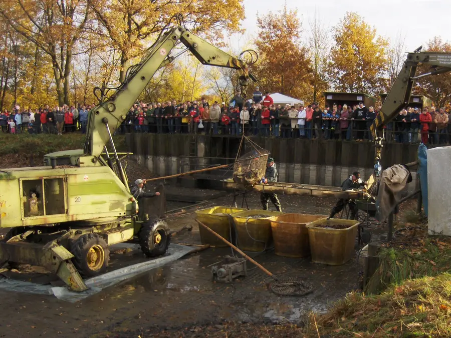 Karpfenfest in Neuhof