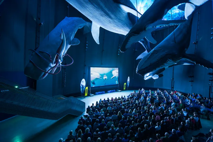 Meeresfilm unter den Walen in der Ausstellung "1:1 Riesen der Meere