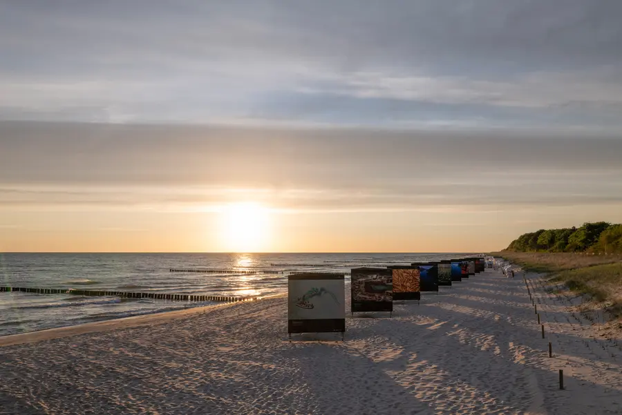 Auch am Strand von Zingst werden großformatige Naturfotos gezeigt.