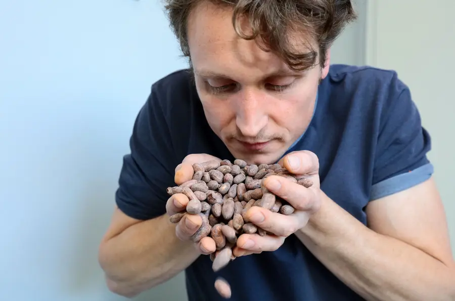 Roy Zimmer mit Kakaobohnen Roy Zimmer mit Kakaobohnen
