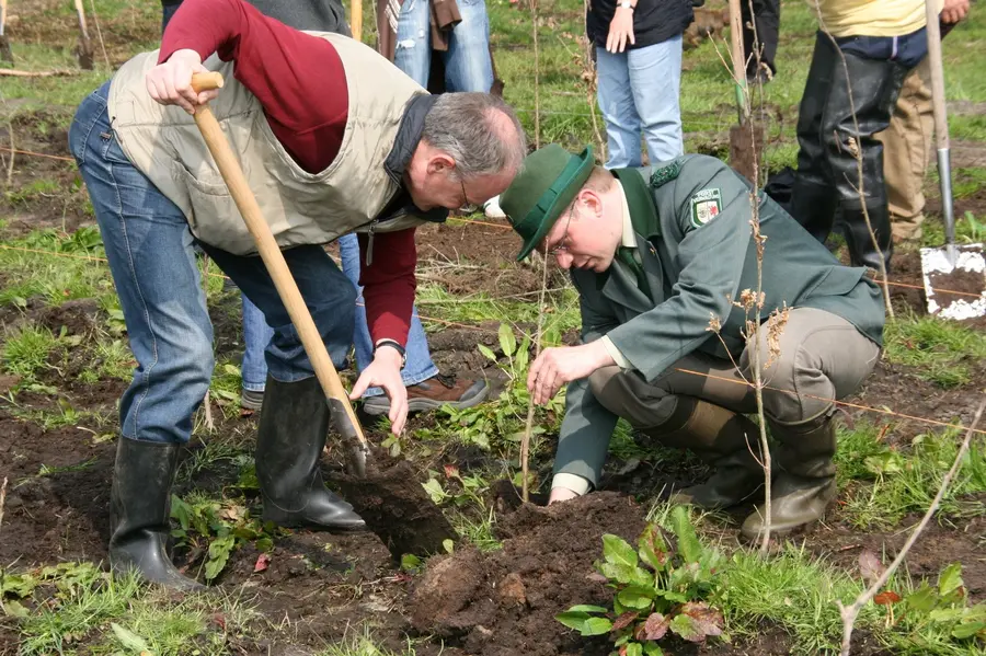 Waldaktienpflanzaktionn