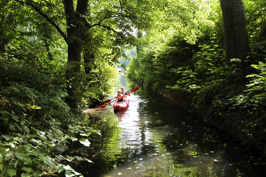 Auf "Dschungeltour" auf dem Breiten Luzin der Feldberger Seenlandschaft